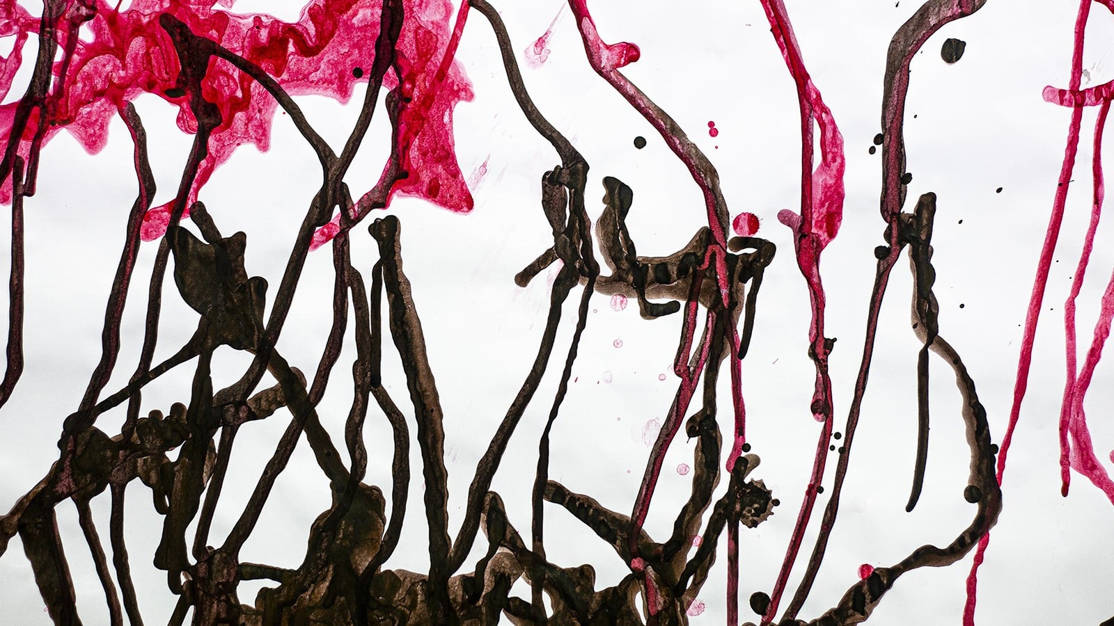 Visual Art, teaching staff at Latrobe College of Art and Design