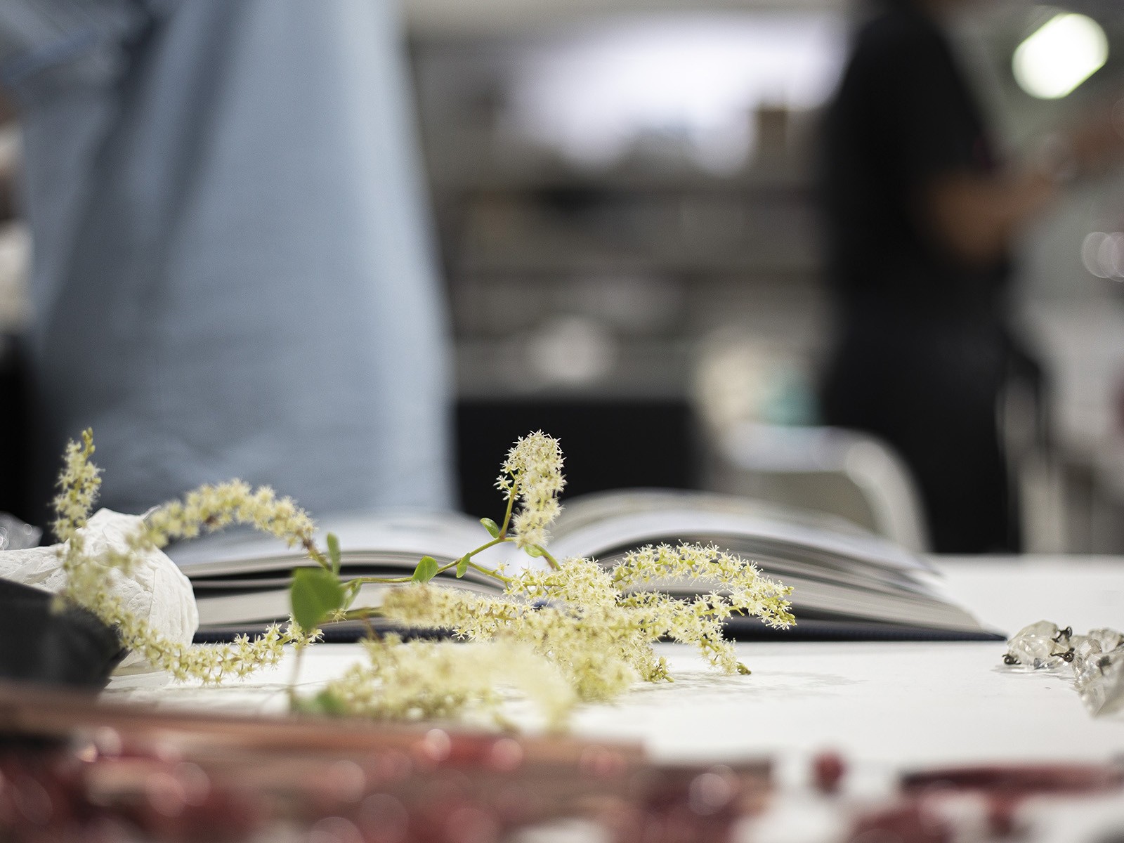 Parks & gardens at Latrobe College of Art and Design in Collingwood