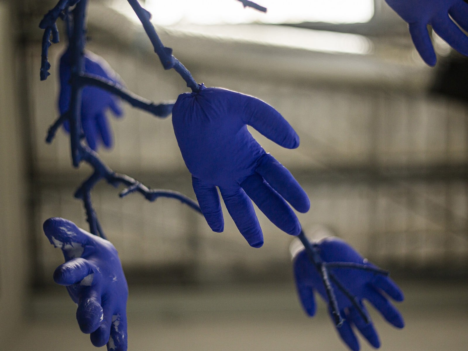 Subject Outline, teaching staff at Latrobe College of Art and Design